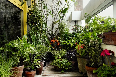 008-9 Great Dixter Andrew Montgomery. Courtesy Phaidon
