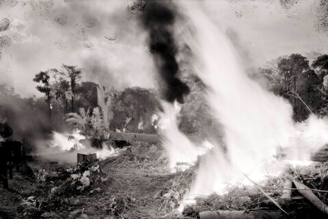 Broken Spectre by Richard Mosse