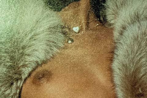 FURS by Jurgen Maelfeyt Art Paper Editions