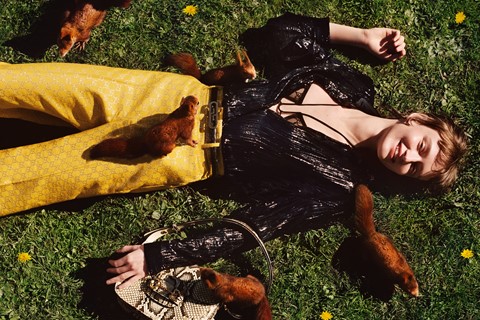 Gucci pre-fall 2020 Alasdair McLellan animals
