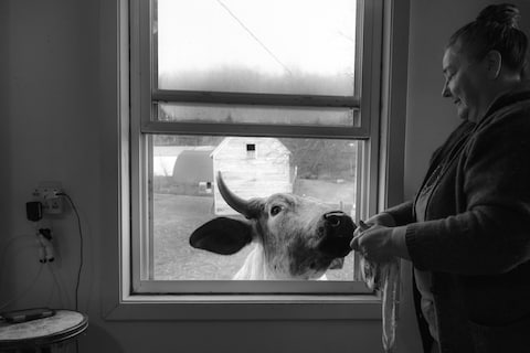 Dormant Season by Erinn Springer 