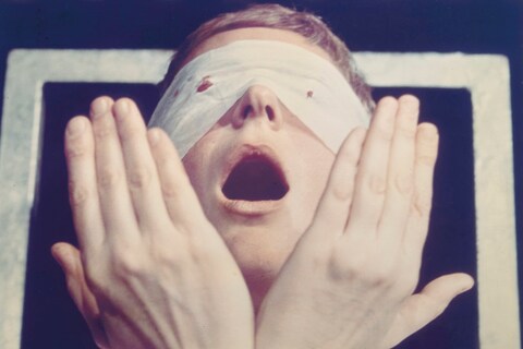 6. Gina Pane_Action Psych&#233;_1973_Cropped_2