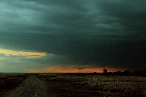 Jack_Davison_Ol_Pejeta07