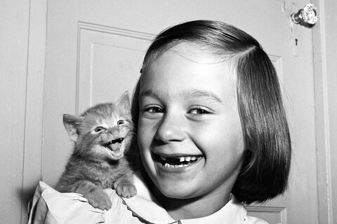 Walter Chandoha Cats Taschen Photography Book 2019 high res