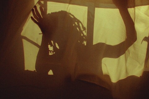 Screenshot 2021-07-30 at 10.04.23