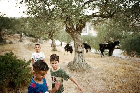 Adam Rouhana
