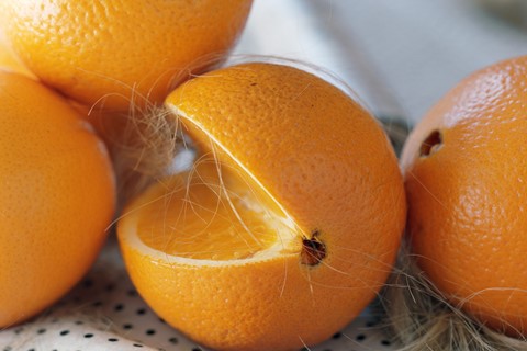 rodland_trichotillomania_10