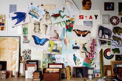 John Derian