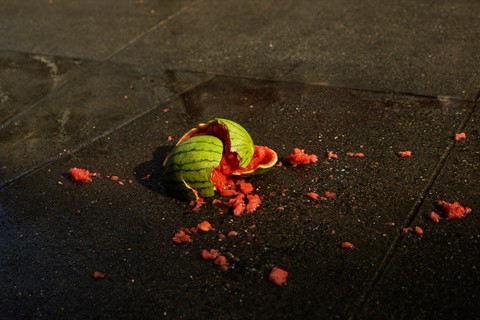 PH-CWF-Watermelon-F1