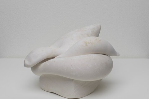 Maria Bartuszova - Folded Figure