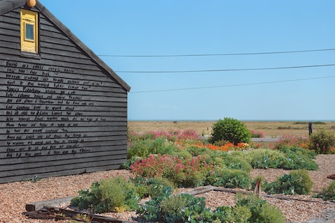 Derek Jarman Tilda Swinton Prospect Cottage Art Fund