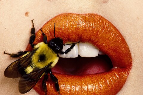 Irving Penn: Photographism