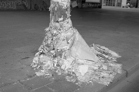 Berlin Pictures by Mark Steinmetz