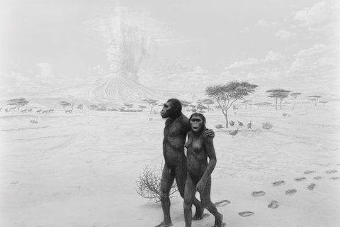 Dioramas by Hiroshi Sugimoto