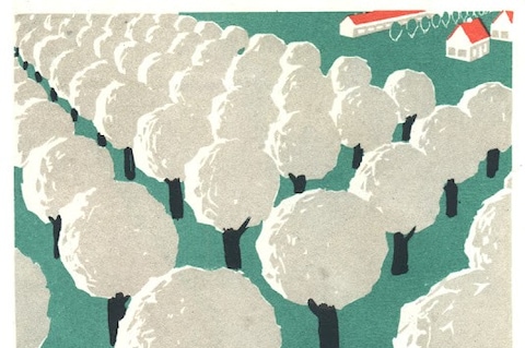 135872655_1912c96335_o