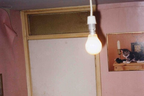 Richard Billingham Untitled 1995