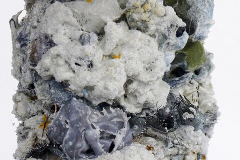 Helmut Lang, MAKE IT HARD, 2011