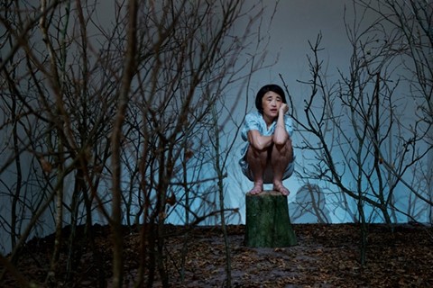 Happy Yingmei (2011-2012) by Yingmei Duan