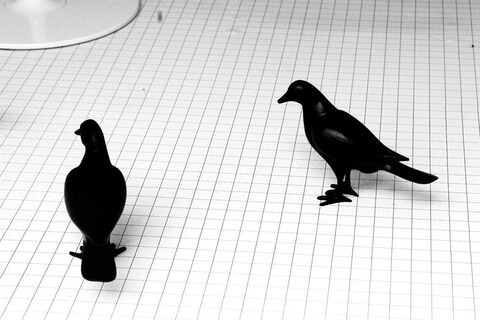 Store of Modern Design, Photography by Francesco Brigida