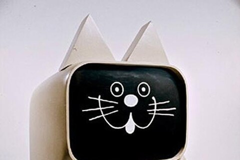 Cat-puter