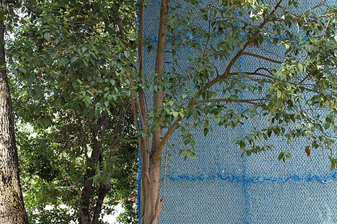 biennale_16