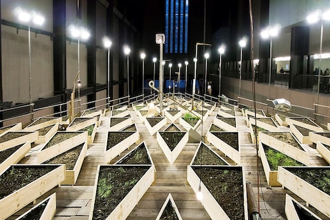 Abraham Cruzvillegas, The Empty Lot, 2015