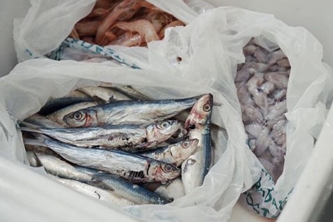 @meals.on.reels Instagram Cult Films Food