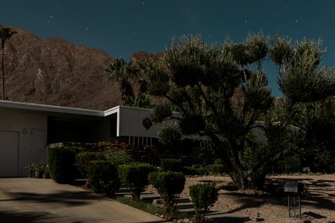 Midnight Modern