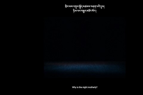 ས་གཞི་སྔོན་པོ་འགྱུར། (The Earth Turned Green) by Shen Xin