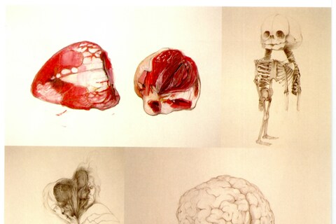 GCSE artwork by Jake and Dinos Chapman