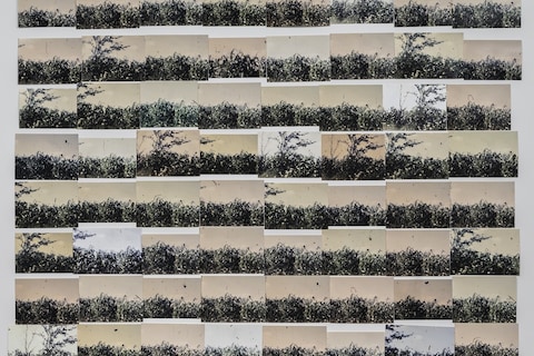 My Mother and Eye by Carmen Winant