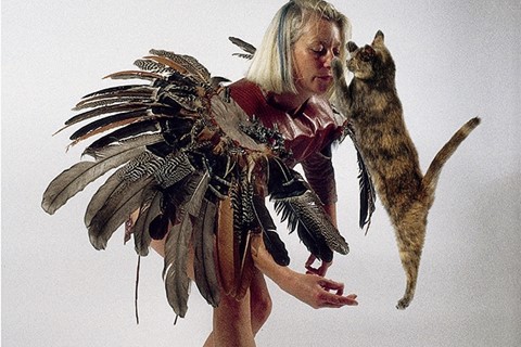 Image from Dancing with Cats by Burton Silver