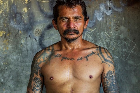 Polyphonic by Pieter Hugo