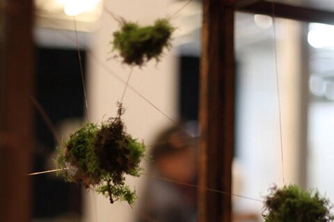 Set dressing at Muskmelon