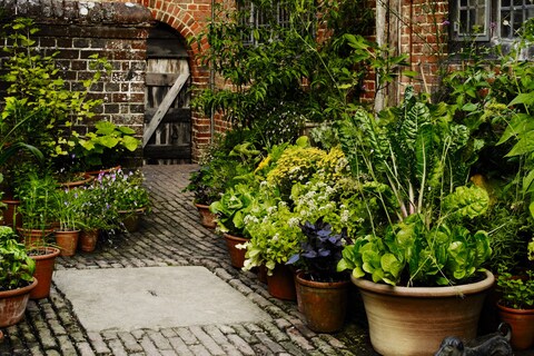008-9 Great Dixter Andrew Montgomery. Courtesy Phaidon