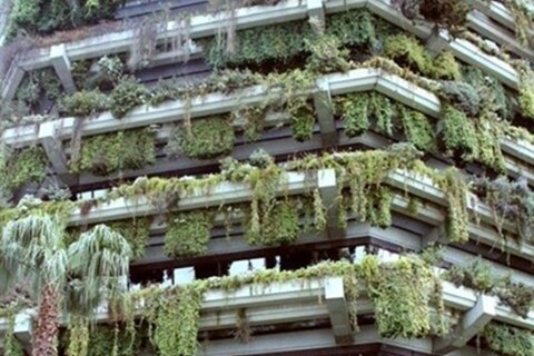 Vertical Garden, Barcelona