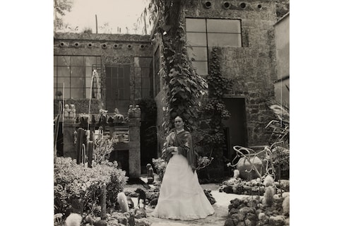 Frida in her Aztec Garden