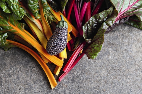 Aubergine and rainbow chard