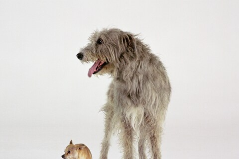 Work no. 1095 by Martin Creed, 2011
