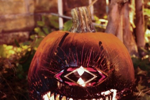 Pumpkin by Dominic Jones