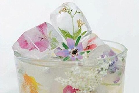 Flower Ice Cubes