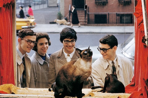 Walter Chandoha Cats Taschen Photography Book 2019 high res