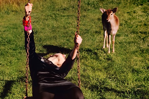 Gucci pre-fall 2020 Alasdair McLellan animals