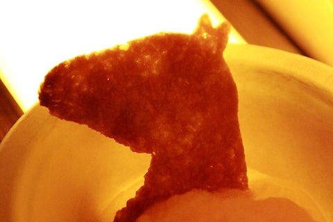 Baniwa ice with horse biscuit