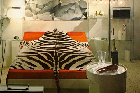 Zebra-3