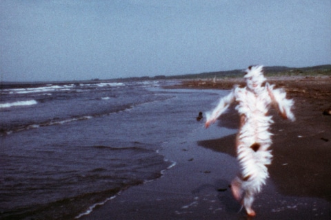 Ana Mendieta at Tate Modern