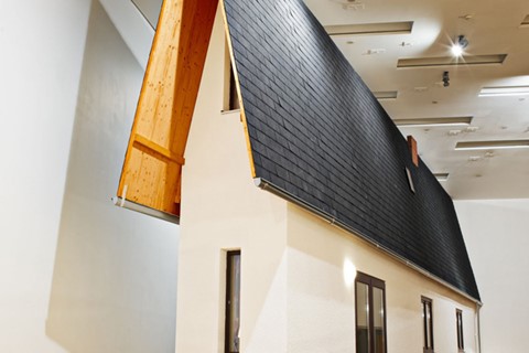 Narrow House, Erwin Wurm, 2010