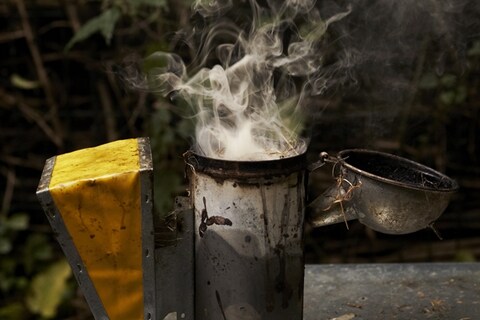 A Bee Smoker