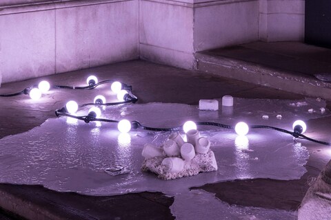 Anne Hardy Winter Commission Installation Tate Britain