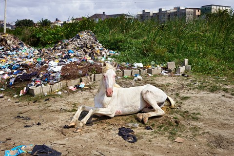 Pieter-Hugo.Near-Atican-Beach.Lagos-2019